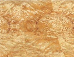 Golden burl veneer