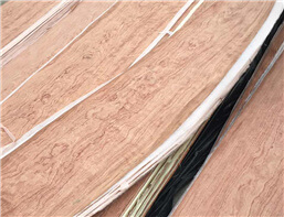 paper back veneer