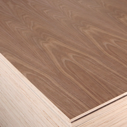 walnut veneer faced plywood walnut veneer faced plywood
