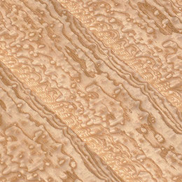 tamo ash veneer