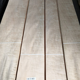 curly figured maple veneer curly figured maple veneer