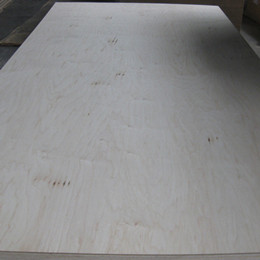 maple veneered panel maple veneered panel